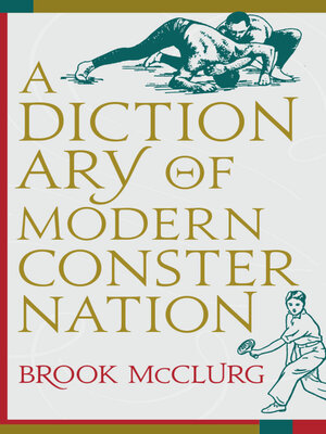 cover image of A Dictionary of Modern Consternation